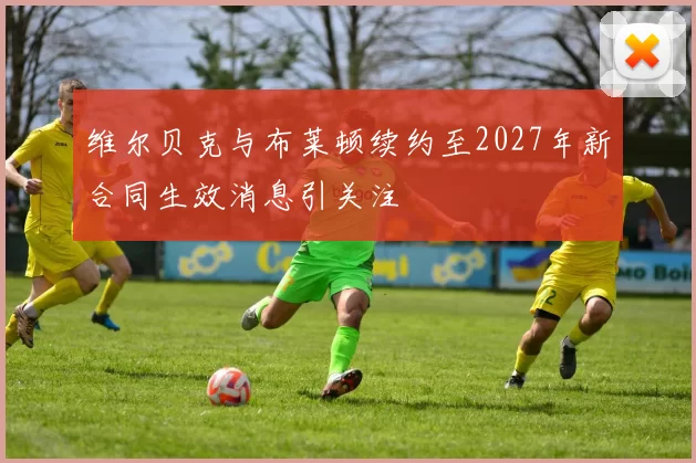 维尔贝克与布莱顿续约至2027年新合同生效消息引关注